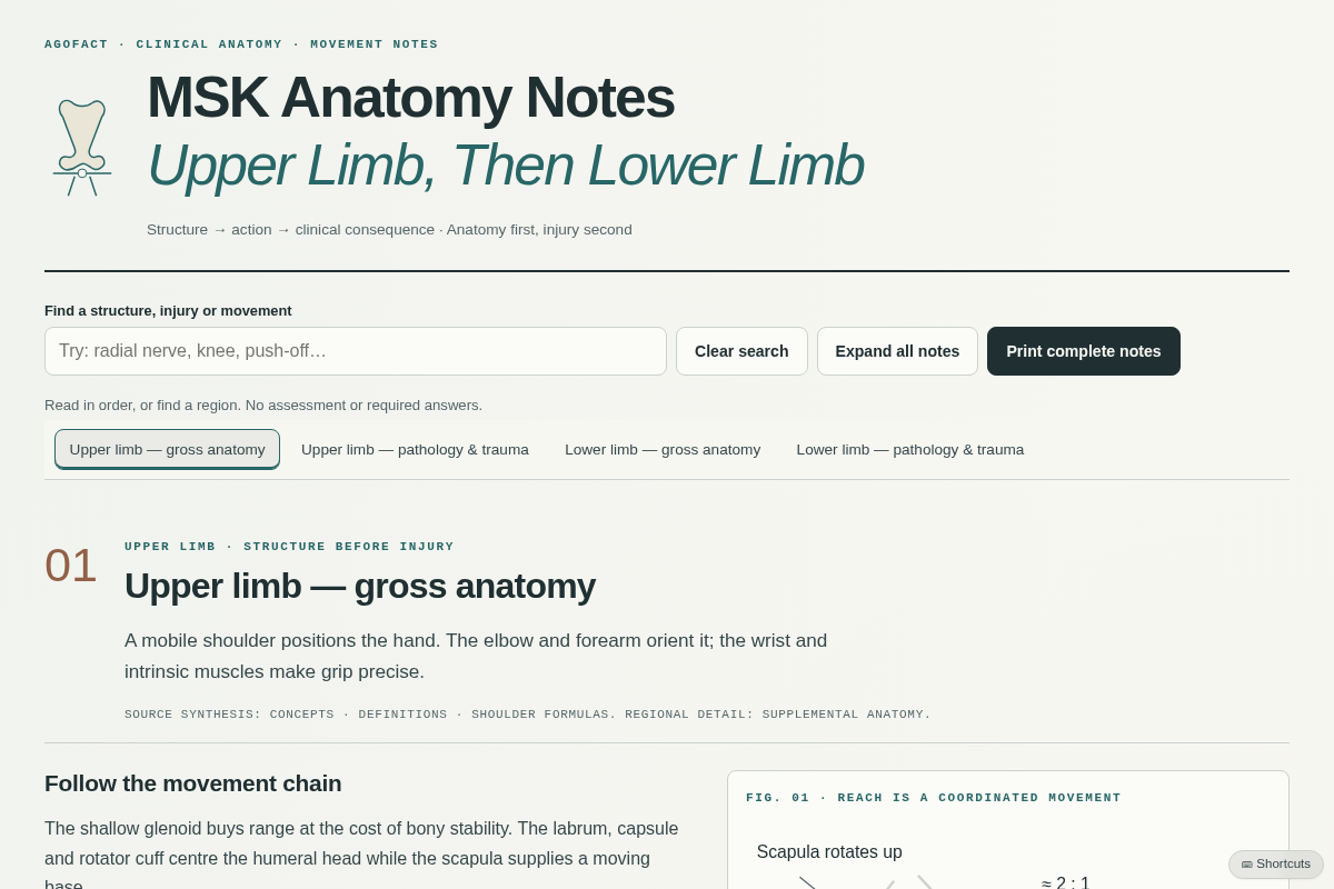Preview of MSK Anatomy Notes — Upper Limb, Then Lower Limb