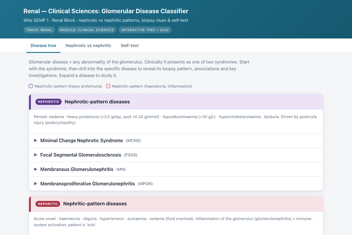 Preview of Renal Clinical Sciences: Glomerular Disease Tree (Wits GEMP 1)