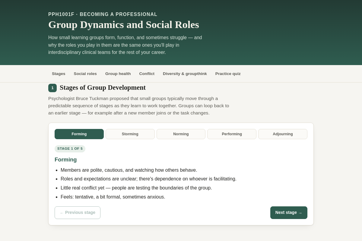 Preview of PPH1001F: Group Dynamics and Social Roles in Health Teams