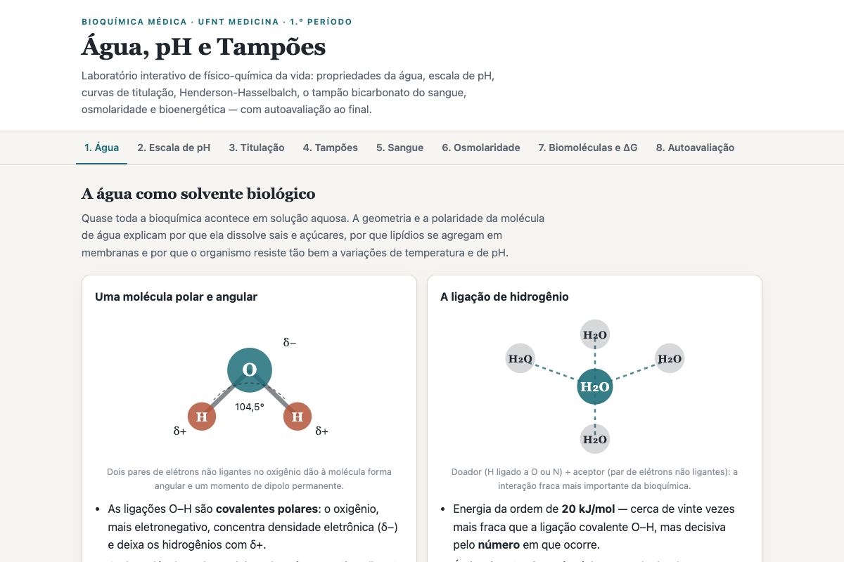 Preview of BIOQUIMICA-MED: Água, pH e Tampões — Simulador e Prática
