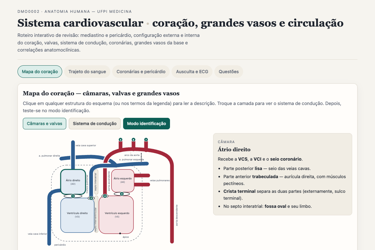 Preview of DMO0002: Sistema Cardiovascular — Coração e Grandes Vasos